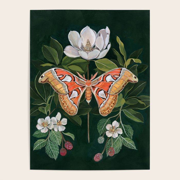 Atlas Moth Magnolia Poster Gallery Image 1