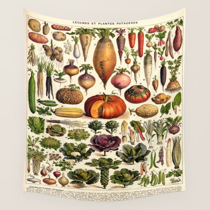 Adolphe Millot Legumes Plant Potageres Vintage Scientific Encyclopedia Illustration Lithograph  Wall Tapestry Gallery Image 4