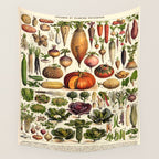 Adolphe Millot Legumes Plant Potageres Vintage Scientific Encyclopedia Illustration Lithograph  Wall Tapestry Gallery Image 4