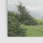 Oregon Coast #2 - Nature, Landscape Photography Poster Gallery Image 3