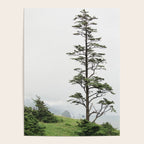 Oregon Coast #2 - Nature, Landscape Photography Poster Gallery Image 4