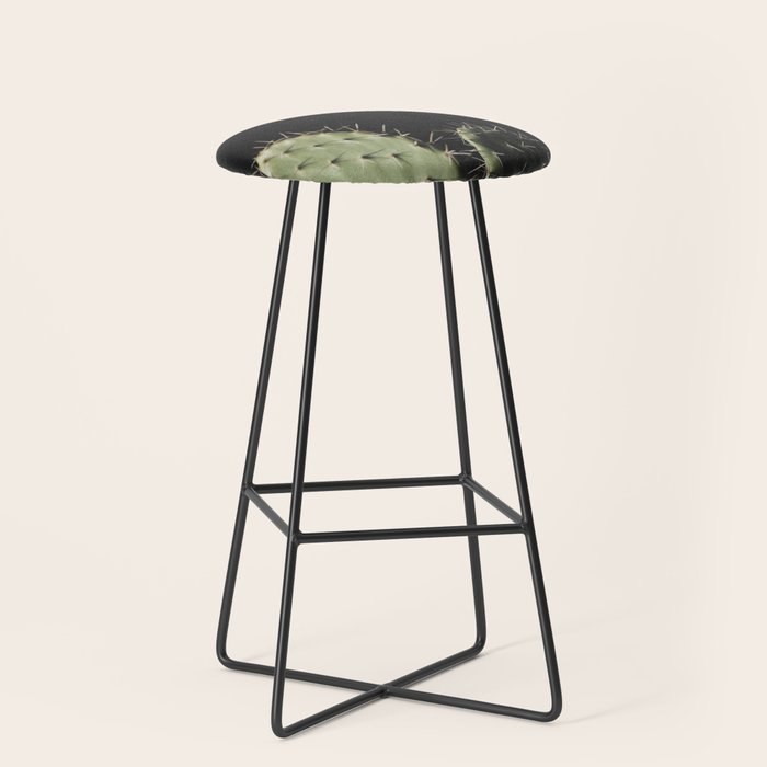 Cactus Stool Gallery Image 1