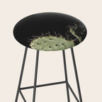 Cactus Stool Gallery Image 2