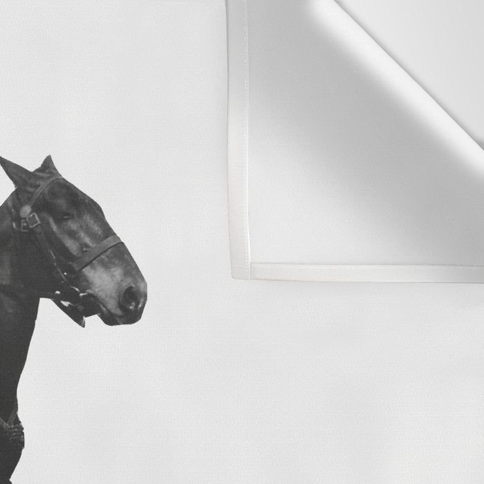 Tall Horse Wall Tapestry Gallery Image 3