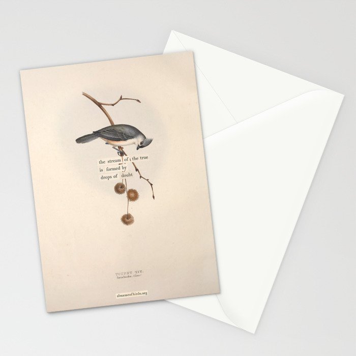 Bird Divinations: Toupet Tit (about: almanacofbirds.org) Stationery Card Gallery Image 2