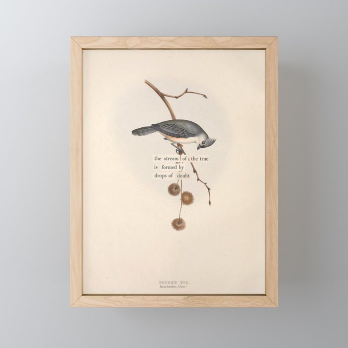 Bird Divinations: Toupet Tit (about: almanacofbirds.org) Mini Art Print Gallery Image 1