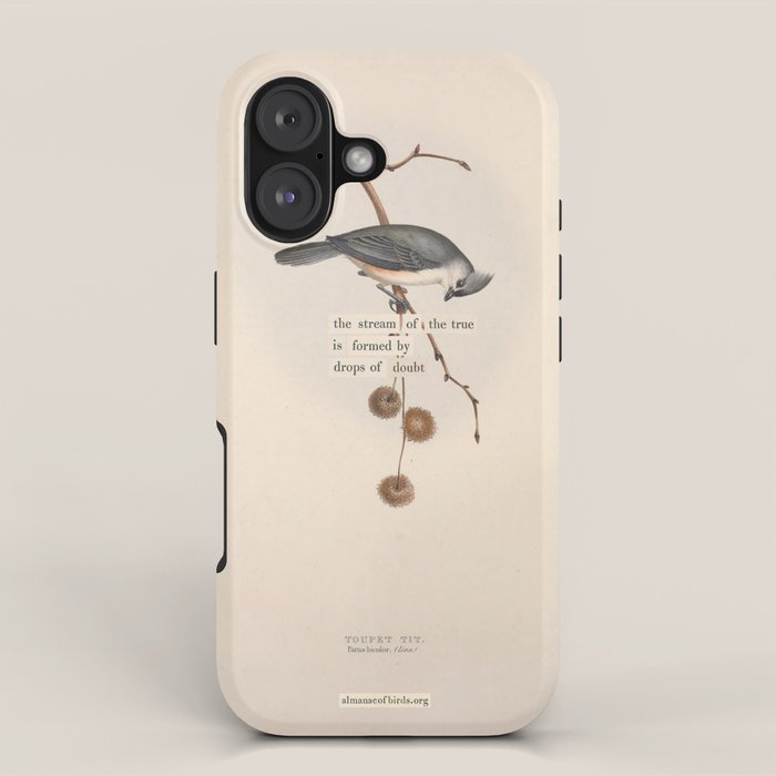 Bird Divinations: Toupet Tit (about: almanacofbirds.org) iPhone Case Gallery Image 1