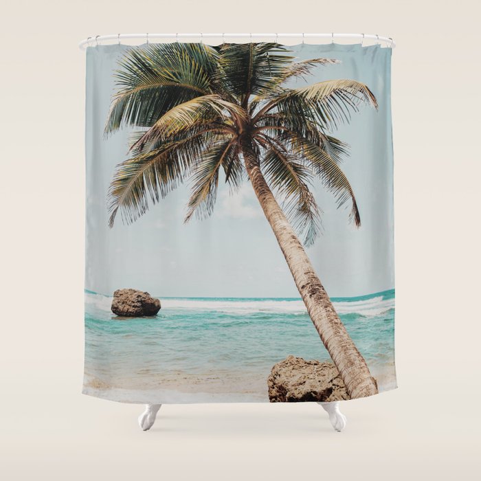 a palm tree ii Shower Curtain Gallery Image 1