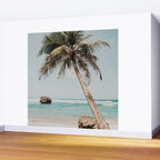 a palm tree ii Wall Mural Gallery Image 2