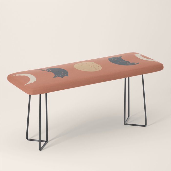 Cat Landscape 61: Meow Phases 2 Bench Gallery Image 1