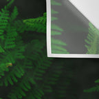 Fern Wall Tapestry Gallery Image 3