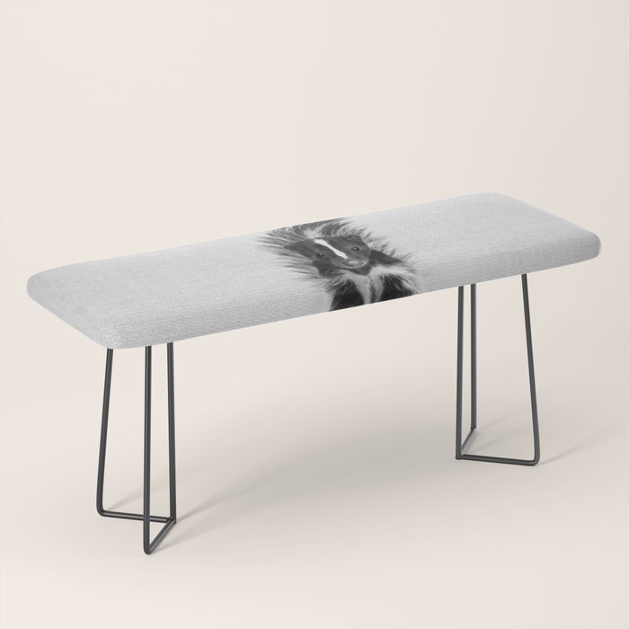 Skunk - Black & White Bench Gallery Image 1