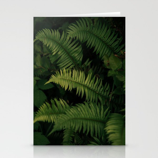 Ferns VIII Stationery Card Gallery Image 2