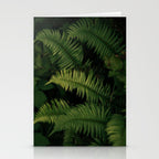 Ferns VIII Stationery Card Gallery Image 2