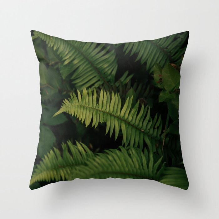Ferns VIII Throw Pillow Gallery Image 1