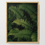 Ferns VIII Serving Tray Gallery Image 1