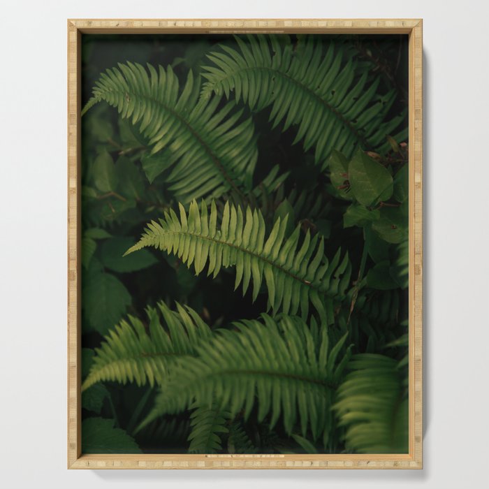 Ferns VIII Serving Tray Gallery Image 1