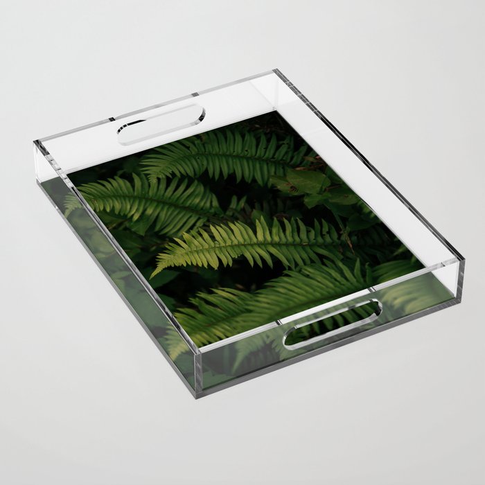 Ferns VIII Acrylic Tray Gallery Image 1