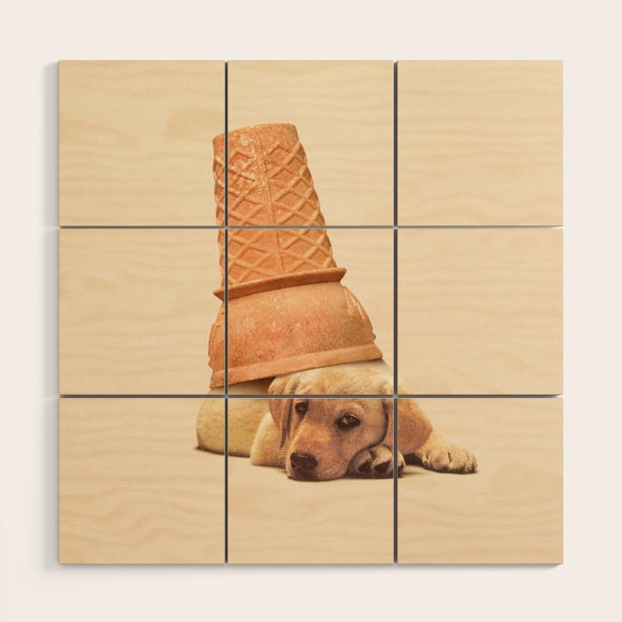 Underdog - Ice Cream Wood Wall Art Gallery Image 1