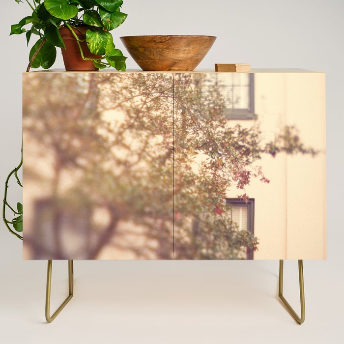 Window Shopping Savannah Georgia architecture travel photograph Credenza Gallery Image 1