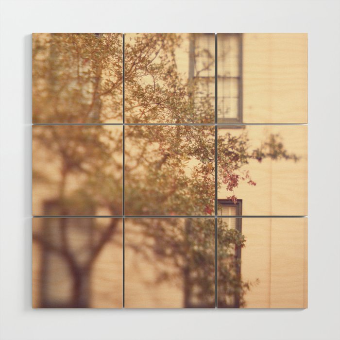 Window Shopping Savannah Georgia architecture travel photograph Wood Wall Art Gallery Image 1
