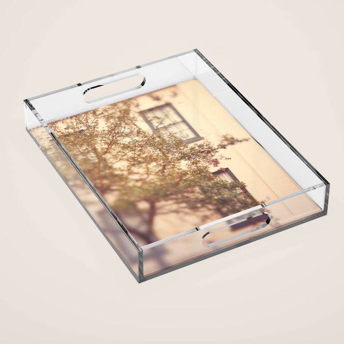Window Shopping Savannah Georgia architecture travel photograph Acrylic Tray Gallery Image 1