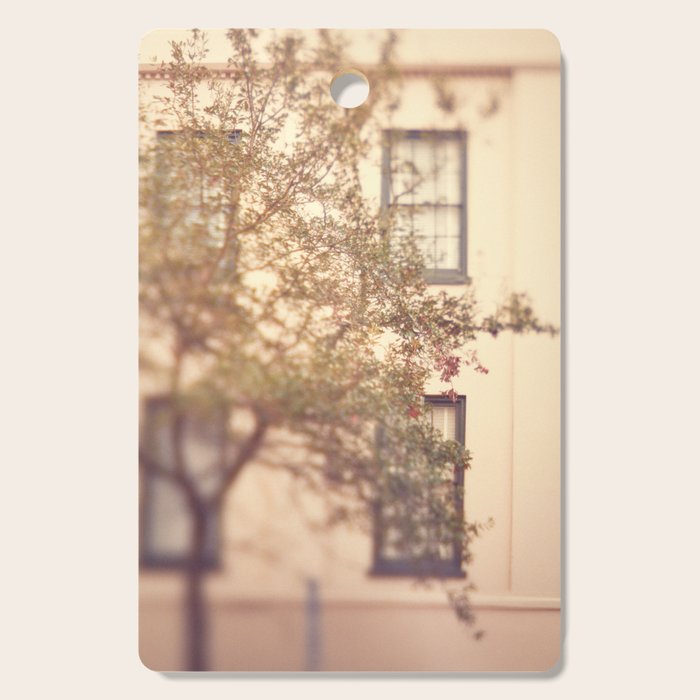 Window Shopping Savannah Georgia architecture travel photograph Cutting Board Gallery Image 1