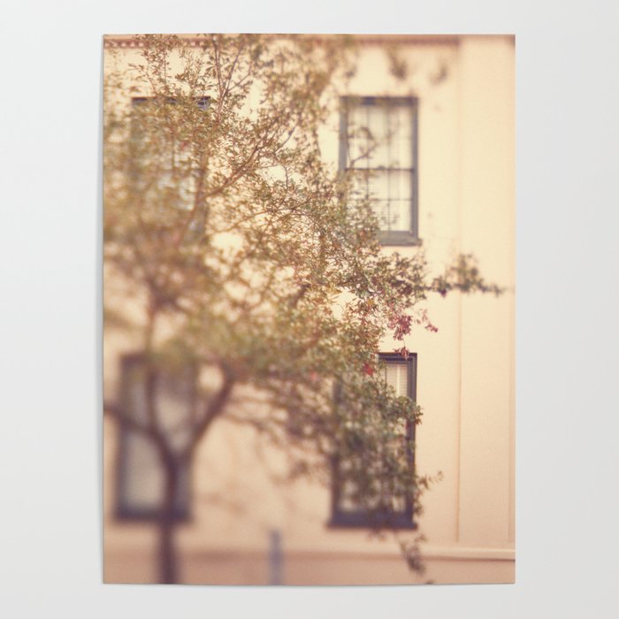 Window Shopping Savannah Georgia architecture travel photograph Poster Gallery Image 4