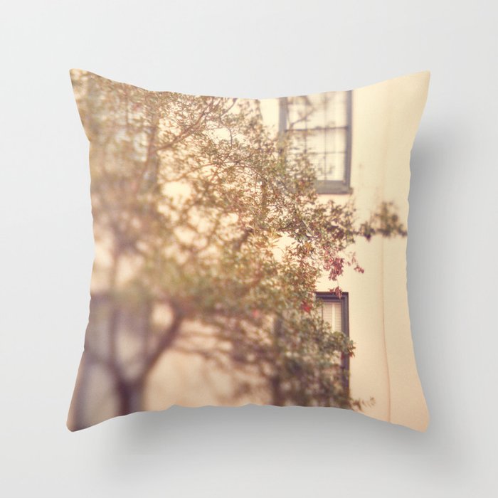 Window Shopping Savannah Georgia architecture travel photograph Throw Pillow Gallery Image 6