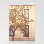 Window Shopping Savannah Georgia architecture travel photograph Stationery Card Gallery Image 2