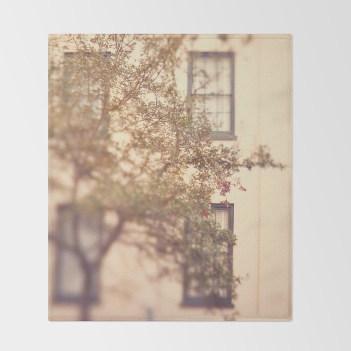 Window Shopping Savannah Georgia architecture travel photograph Throw Blanket Gallery Image 2