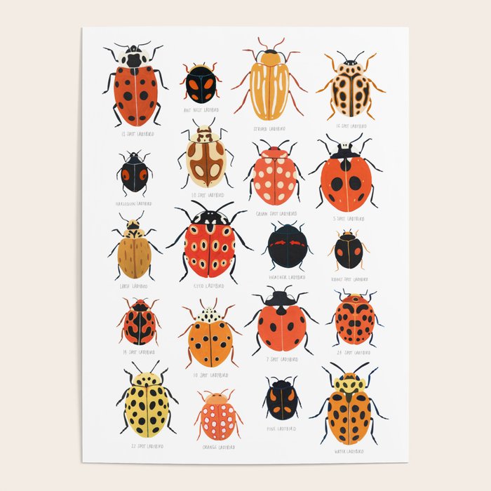 Ladybugs Poster Gallery Image 4