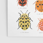 Ladybugs Poster Gallery Image 3