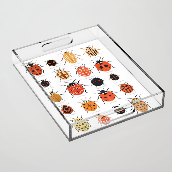 Ladybugs Acrylic Tray Gallery Image 1
