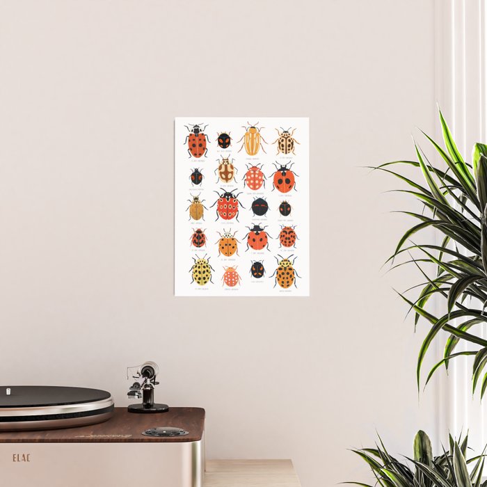 Ladybugs Poster Gallery Image 2