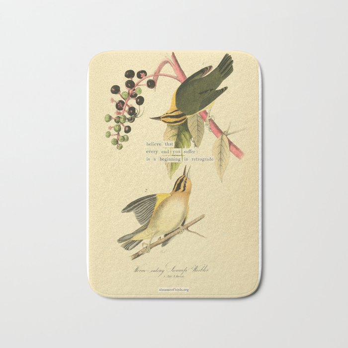 Bird Divinations: Worm-Eating Warbler (about: almanacofbirds.org) Bath Mat Gallery Image 1
