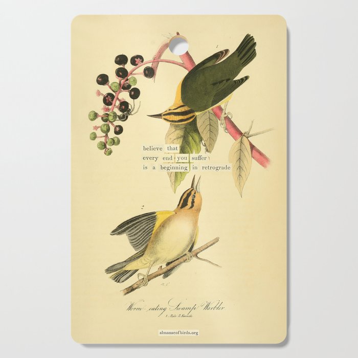 Bird Divinations: Worm-Eating Warbler (about: almanacofbirds.org) Cutting Board Gallery Image 1
