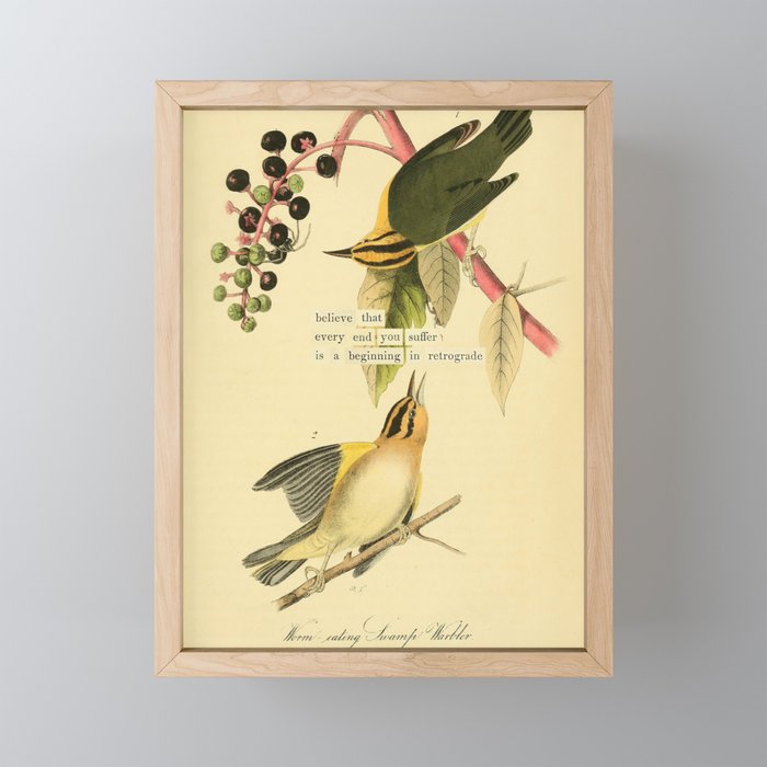 Bird Divinations: Worm-Eating Warbler (about: almanacofbirds.org) Mini Art Print Gallery Image 1