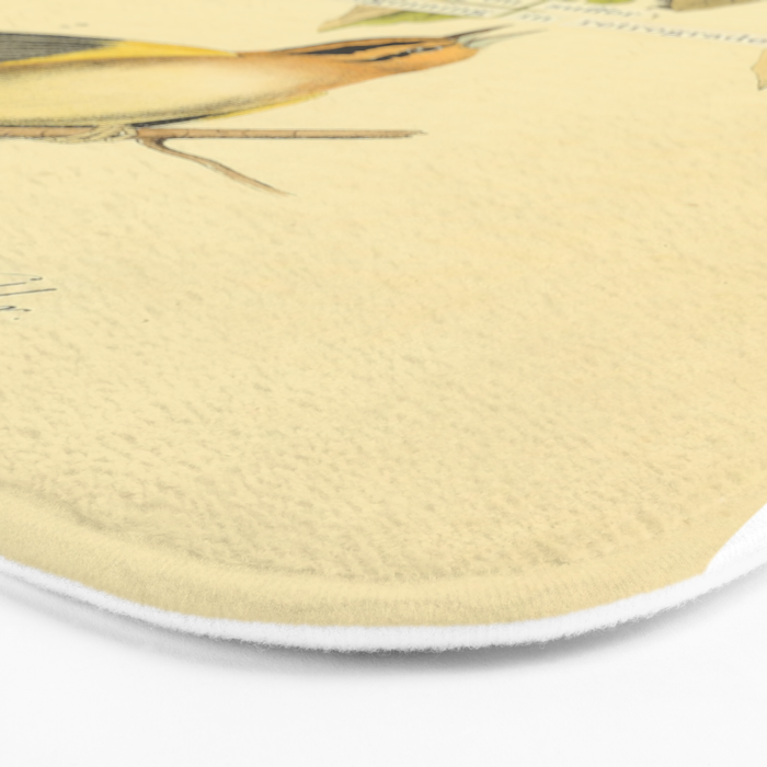 Bird Divinations: Worm-Eating Warbler (about: almanacofbirds.org) Bath Mat Gallery Image 3
