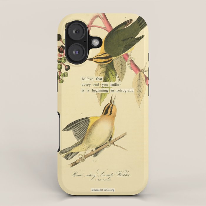 Bird Divinations: Worm-Eating Warbler (about: almanacofbirds.org) iPhone Case Gallery Image 1