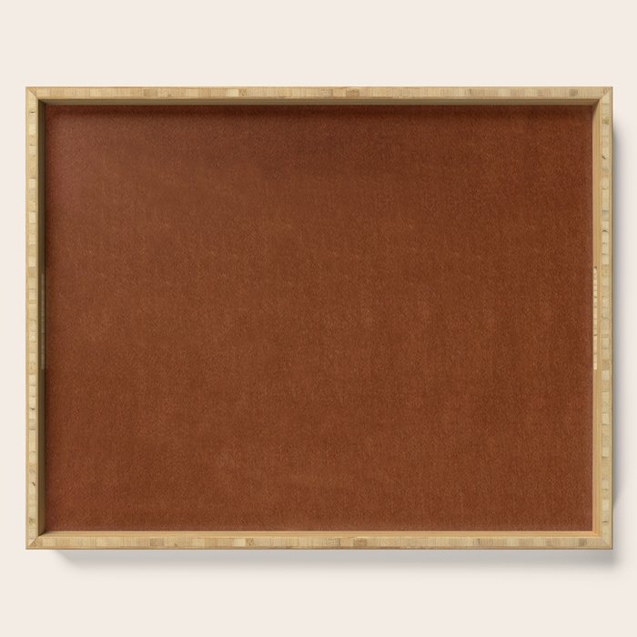 Rust Velvet Serving Tray Gallery Image 1