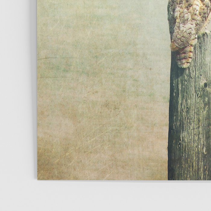 Owl See You Poster Gallery Image 3