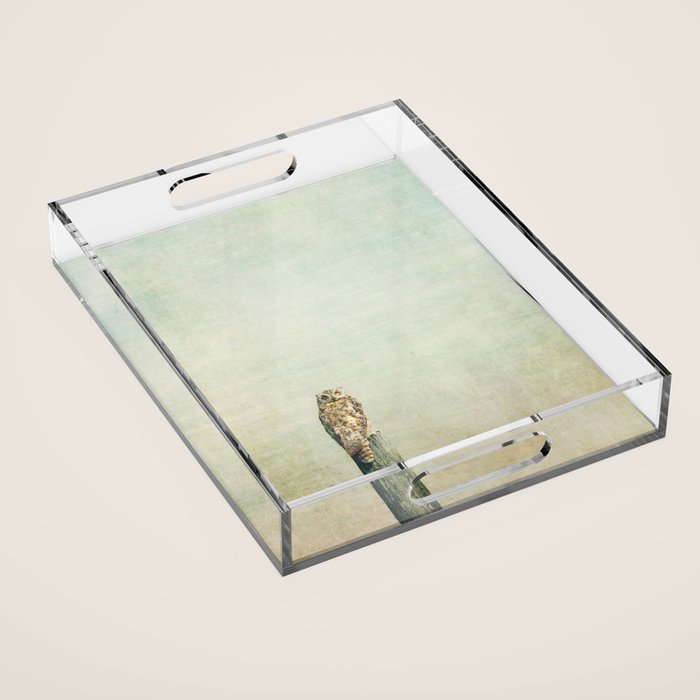 Owl See You Acrylic Tray Gallery Image 1