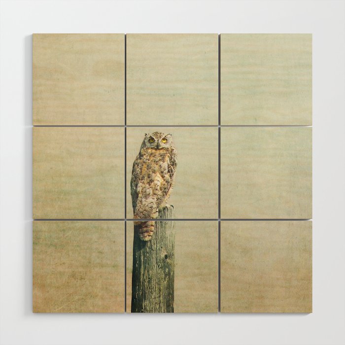 Owl See You Wood Wall Art