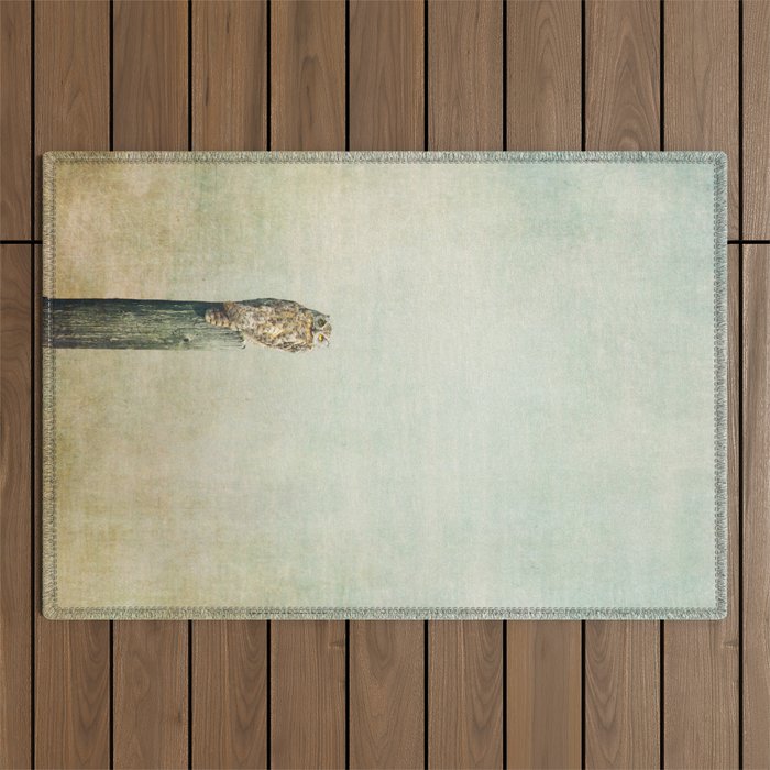 Owl See You Outdoor Rug Gallery Image 1