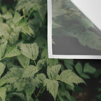 Rubus Wall Tapestry Gallery Image 3