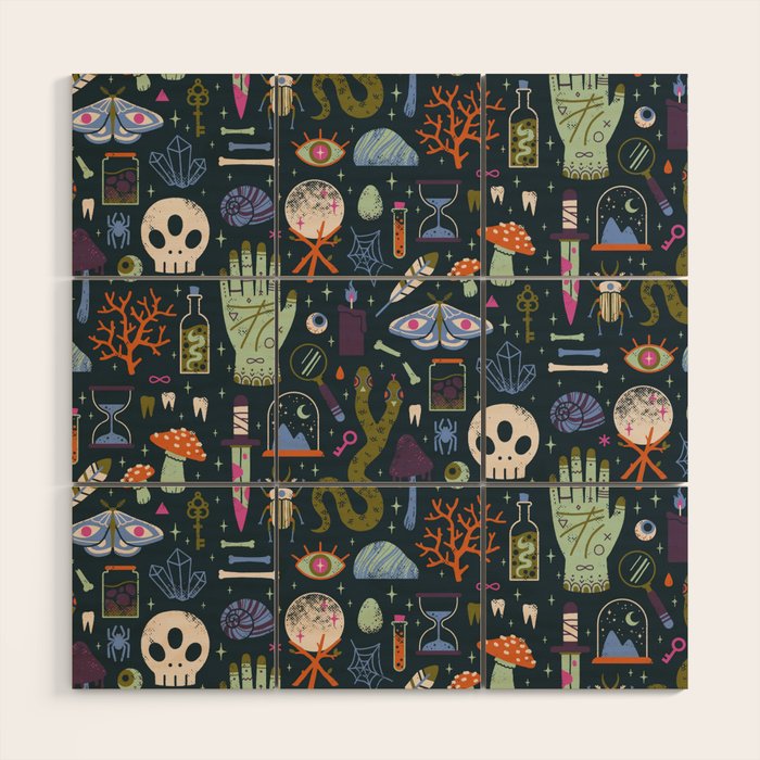 Curiosities Wood Wall Art Gallery Image 1
