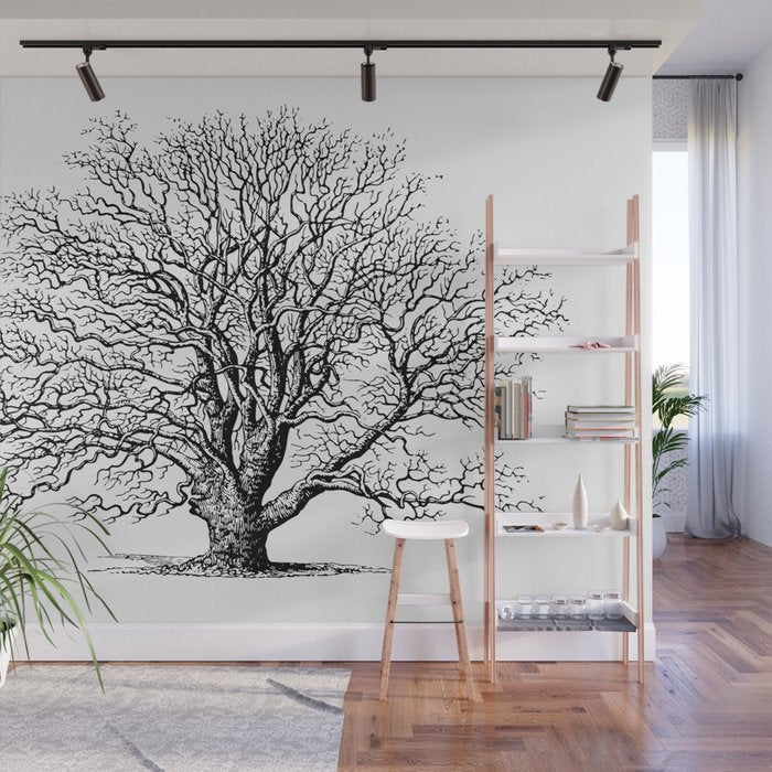 oak tree botanical no2 Wall Mural Gallery Image 1