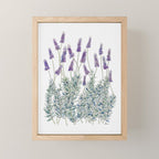 Lavender, Illustration Mini Art Print Gallery Image 1