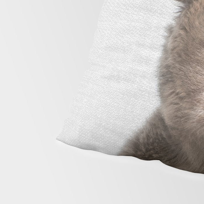 Baby Bear - Colorful Pillow Sham Gallery Image 4